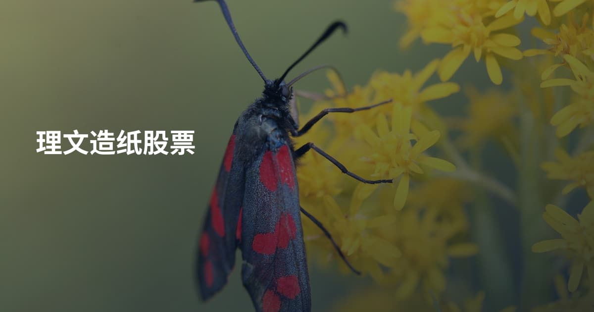 理文造纸股票