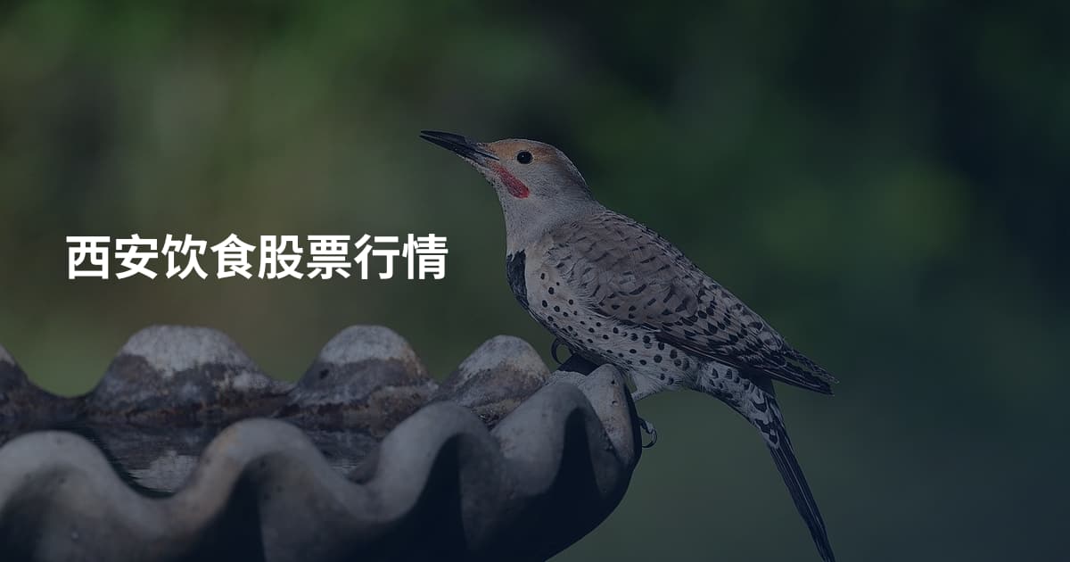 西安饮食股票行情