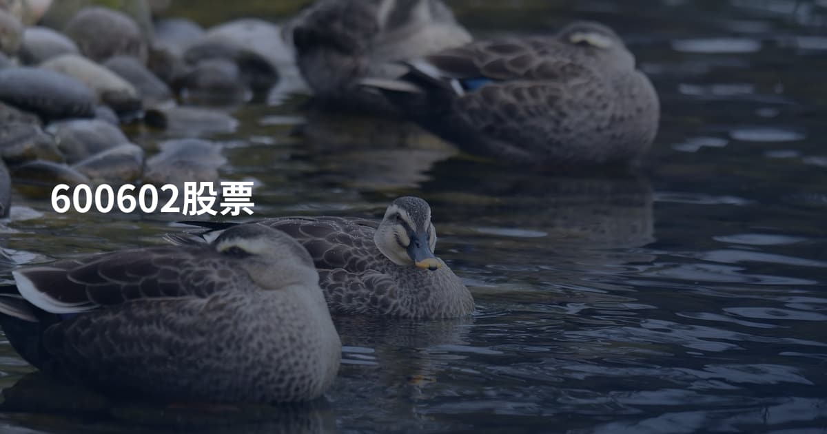600602股票