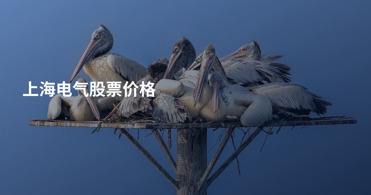 上海电气股票价格