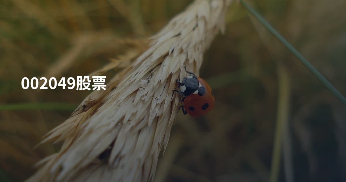 002049股票