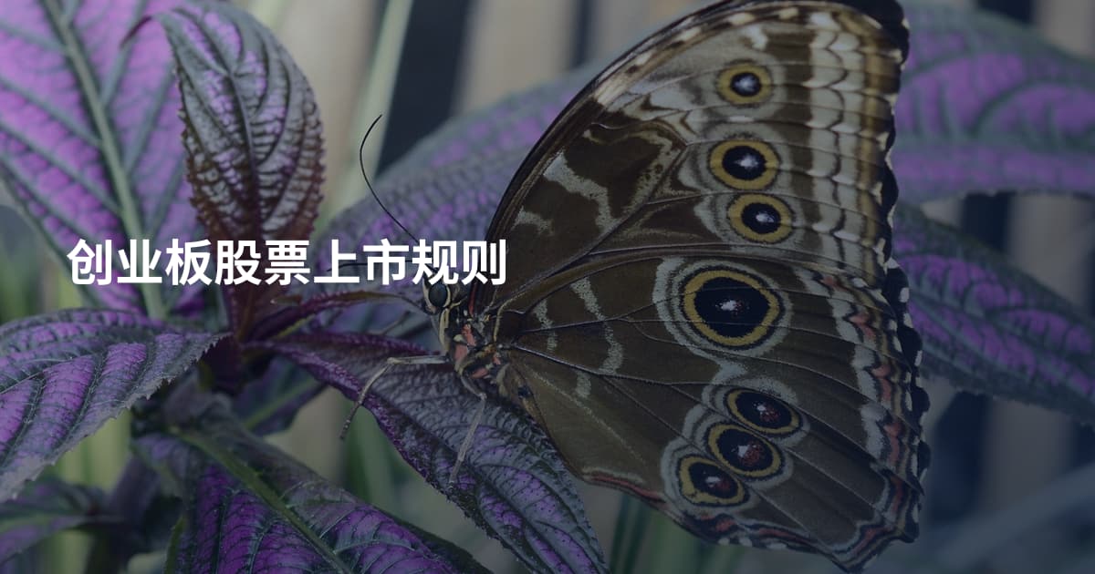 创业板股票上市规则
