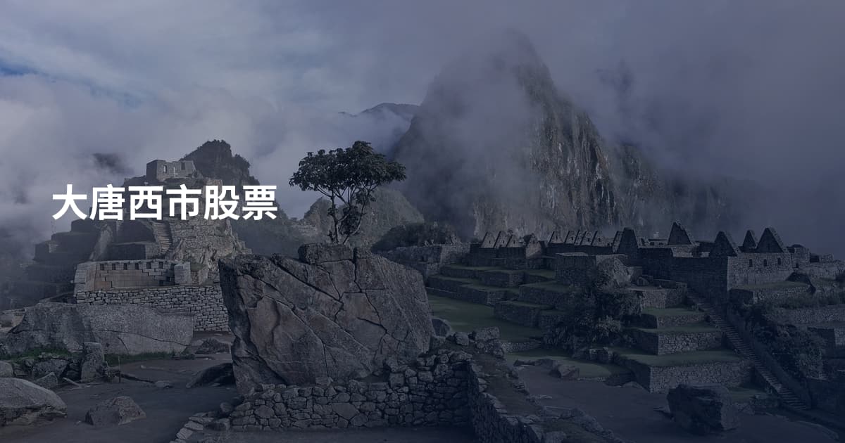 大唐西市股票