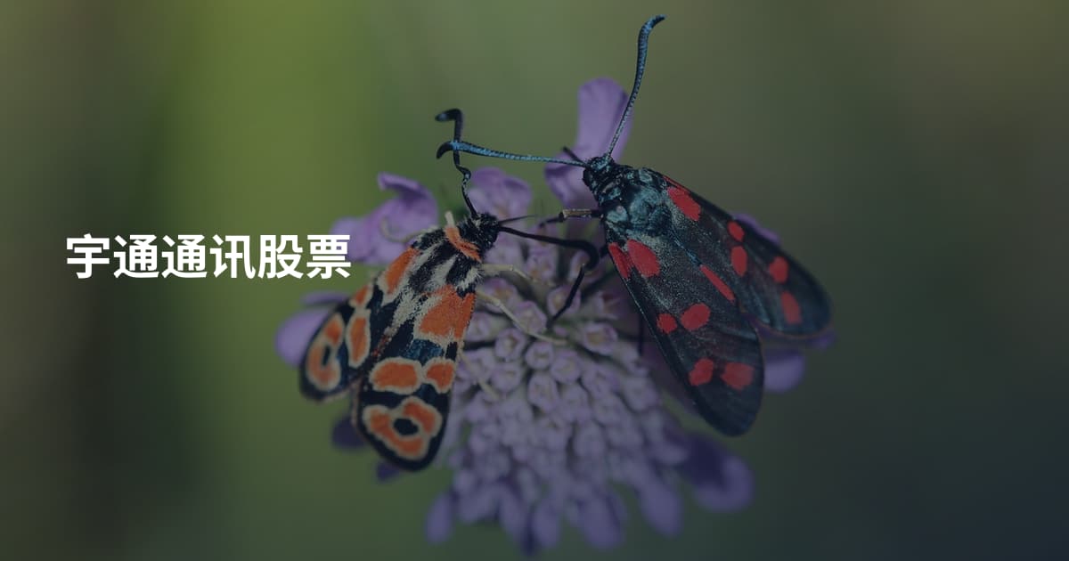 宇通通讯股票