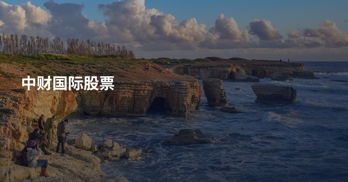 中财国际股票
