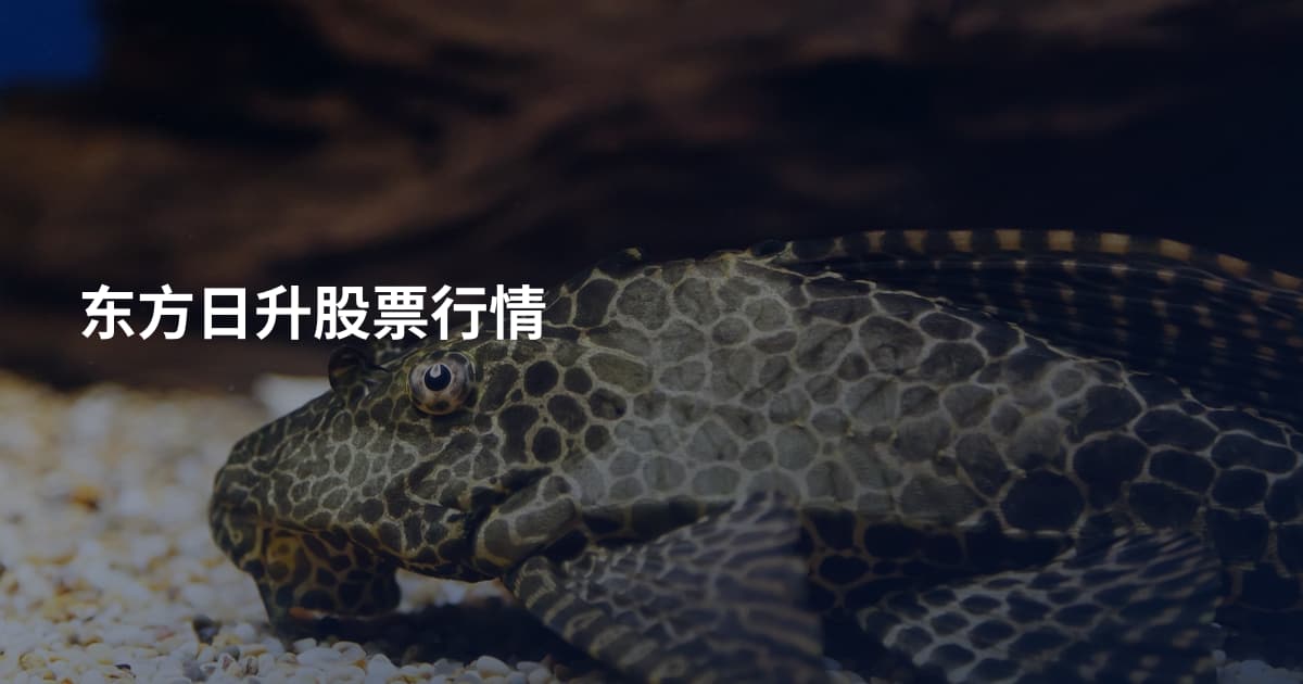 东方日升股票行情