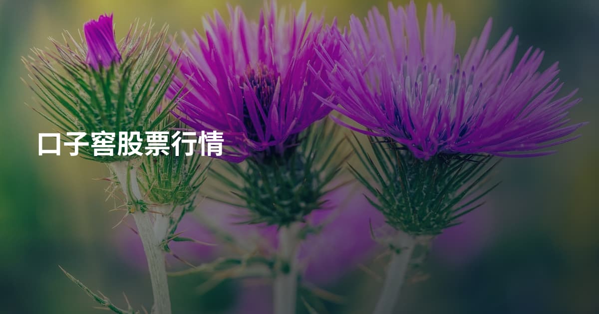 口子窖股票行情