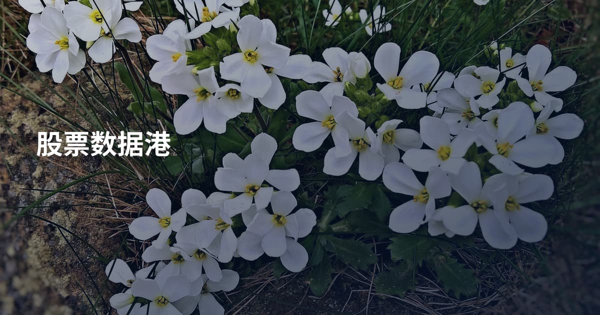股票数据港