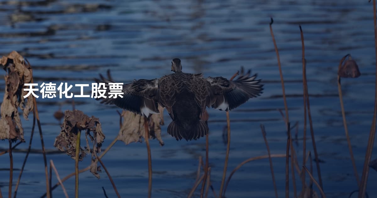 天德化工股票
