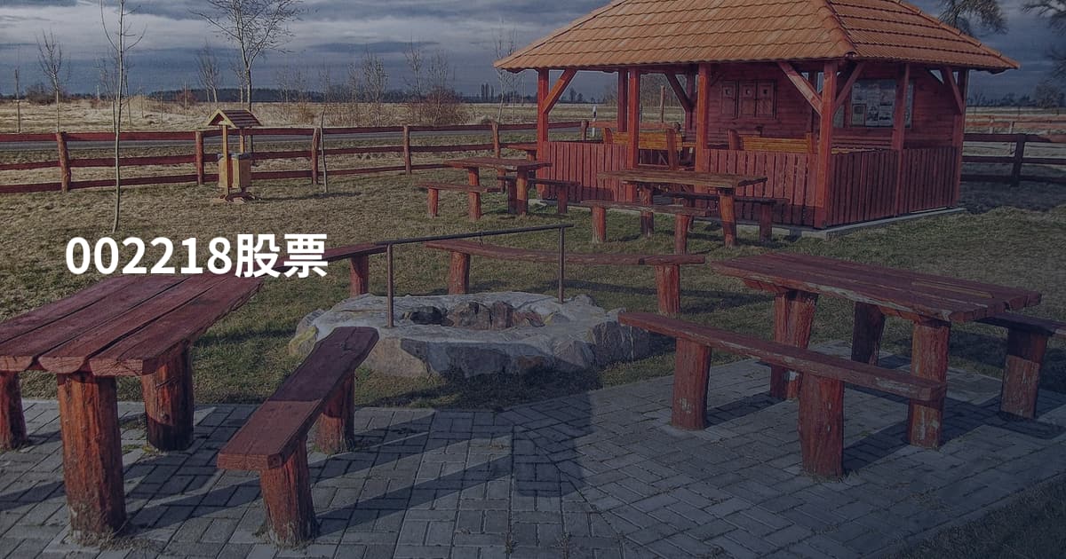 002218股票