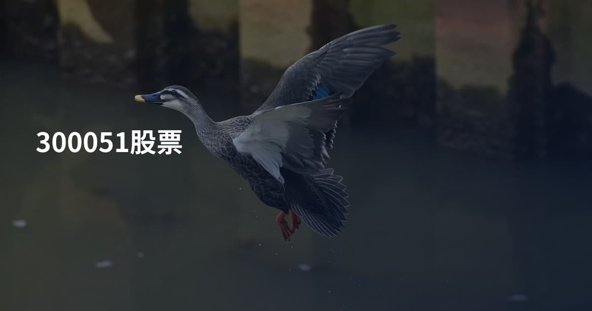 300051股票
