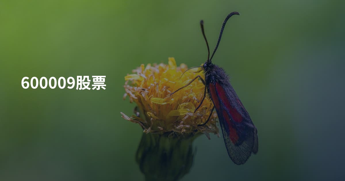 600009股票