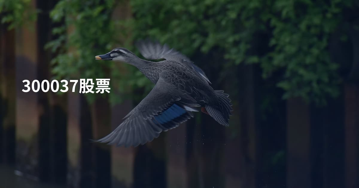 300037股票