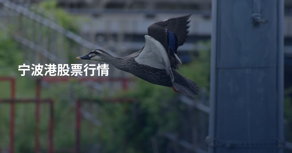 宁波港股票行情