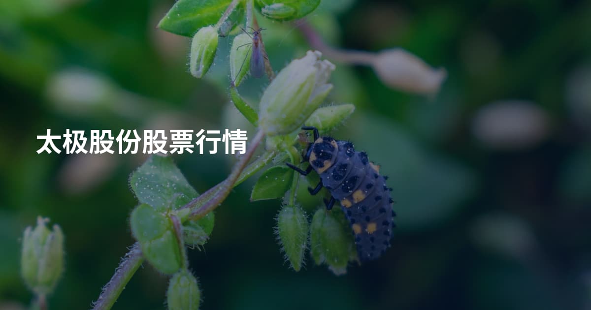 太极股份股票行情