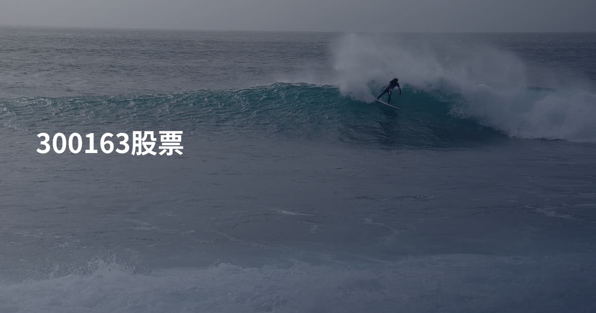 300163股票