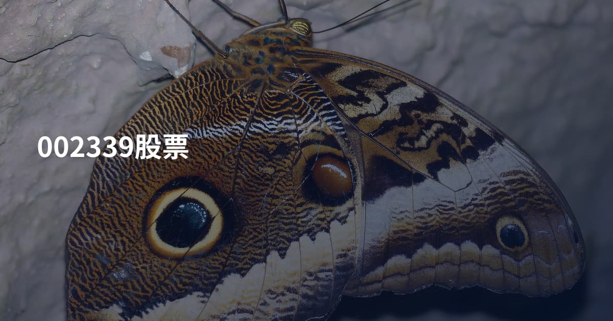 002339股票