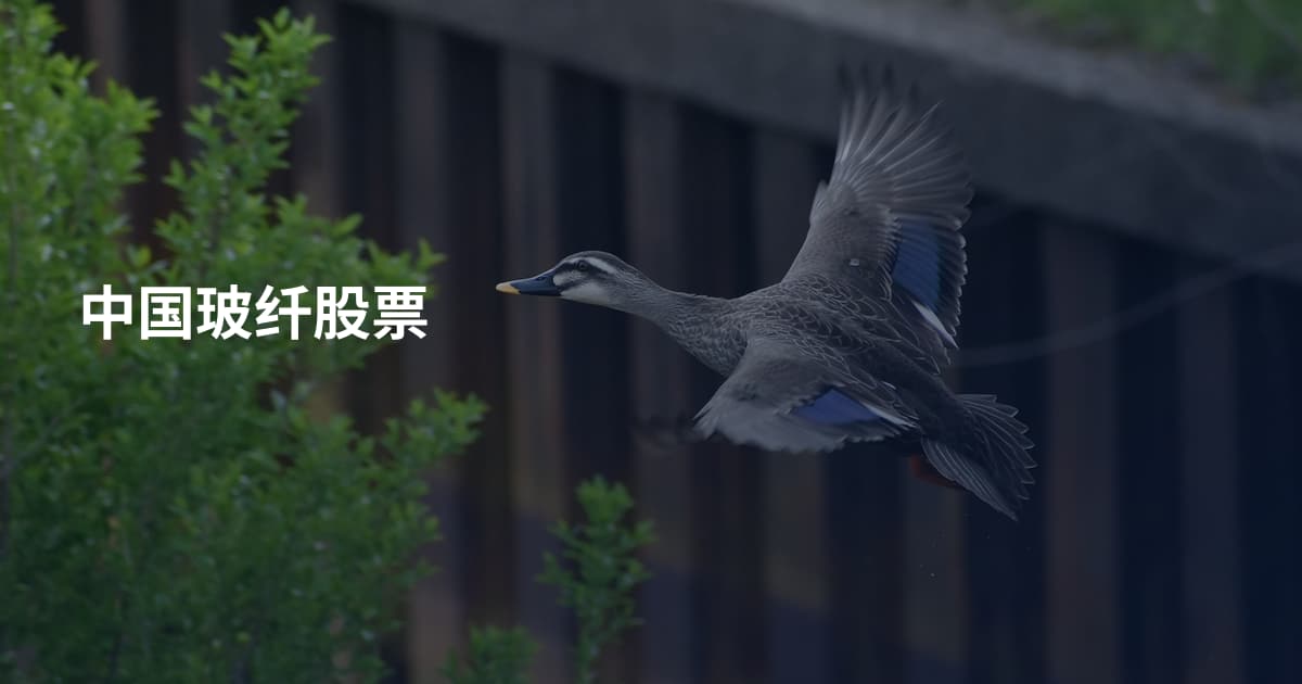 中国玻纤股票