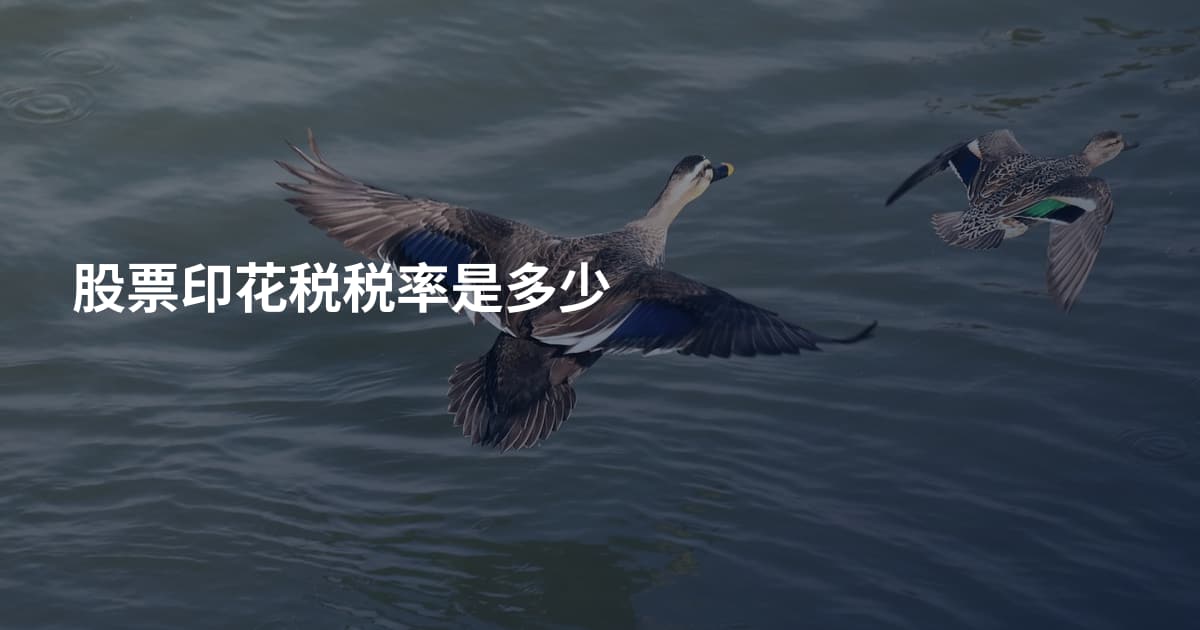 股票印花税税率是多少
