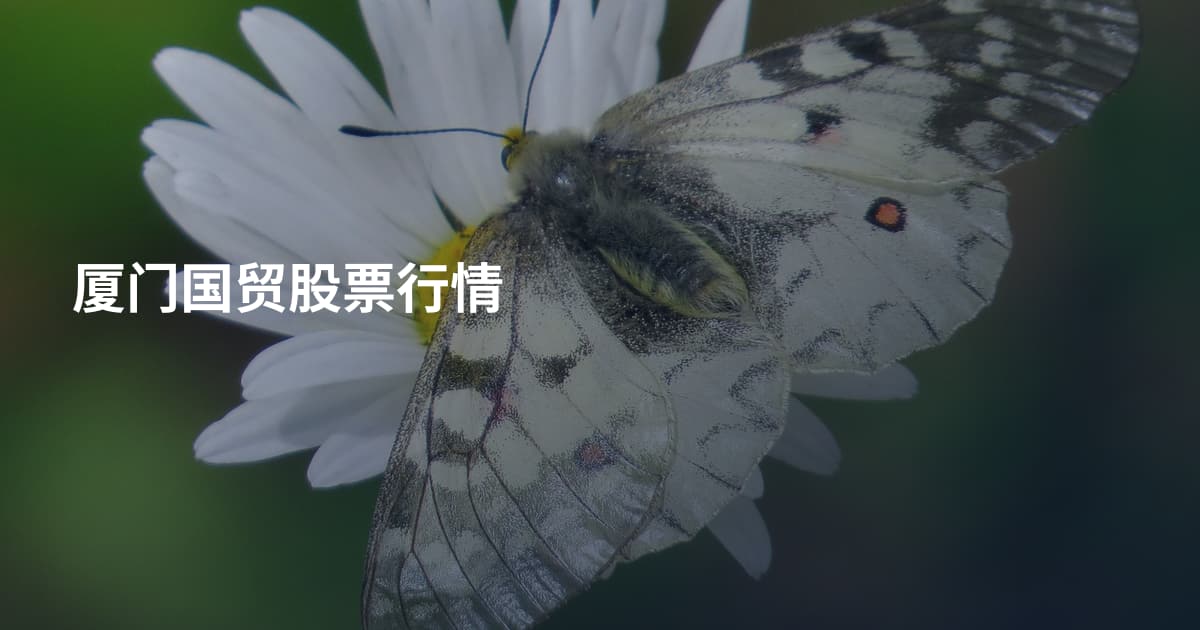 厦门国贸股票行情