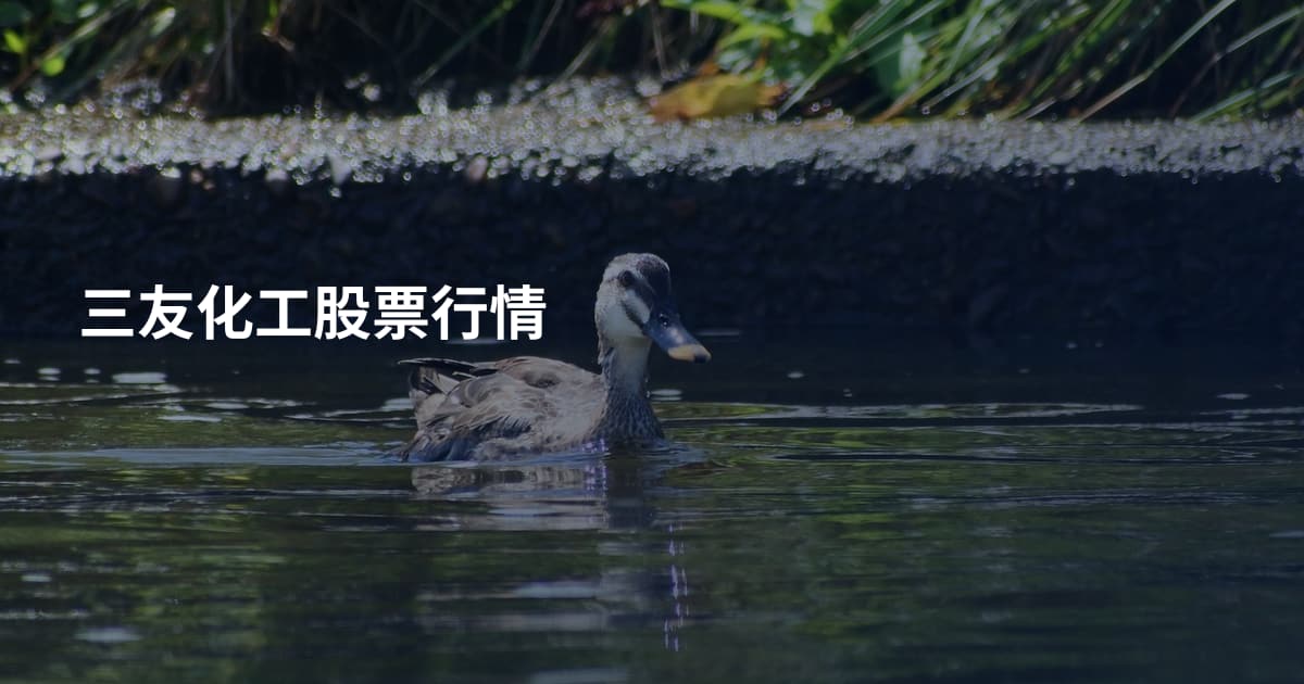 三友化工股票行情