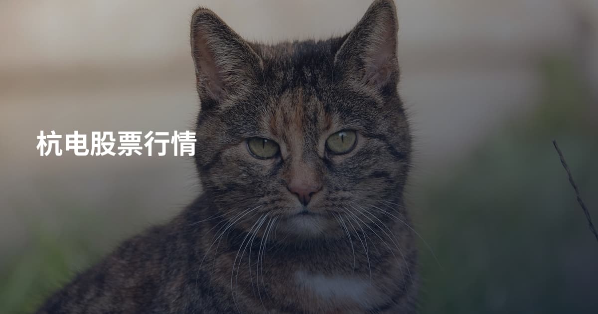 杭电股票行情