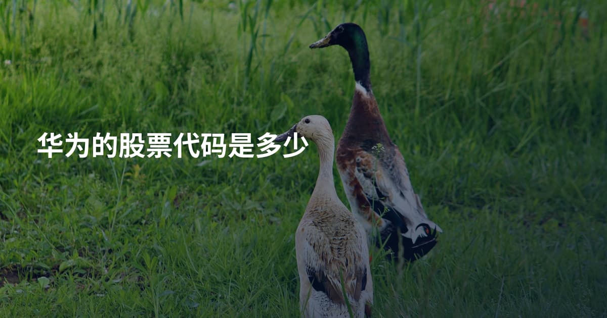 华为的股票代码是多少
