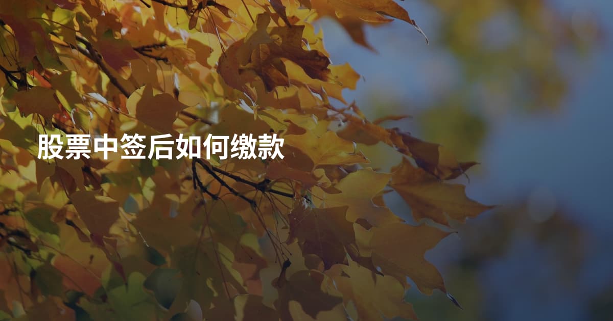 股票中签后如何缴款