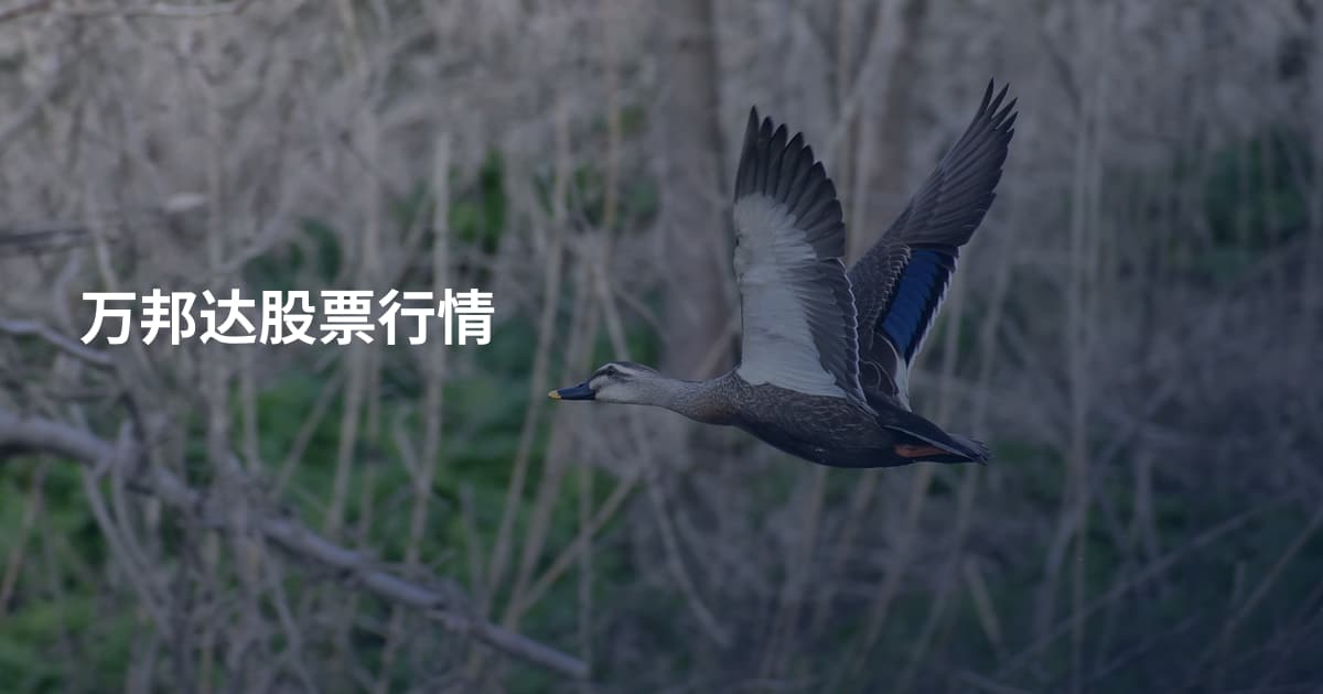 万邦达股票行情