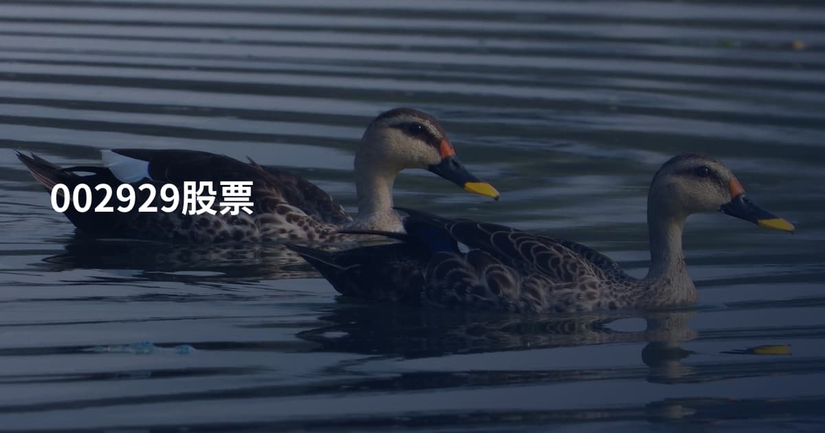 002929股票