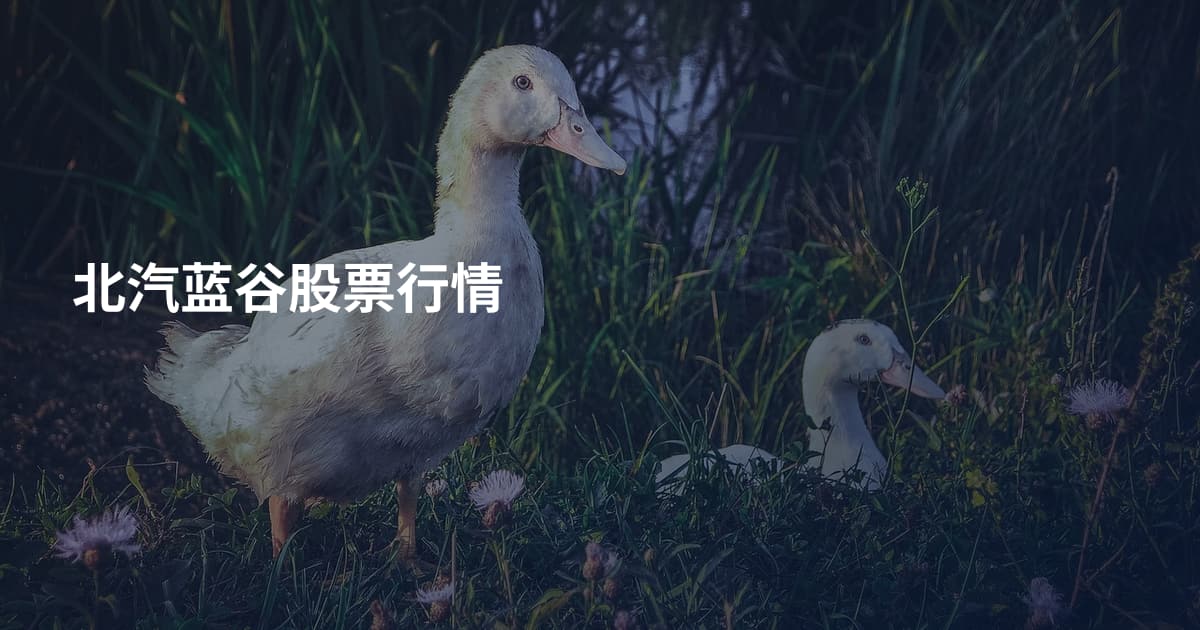 北汽蓝谷股票行情
