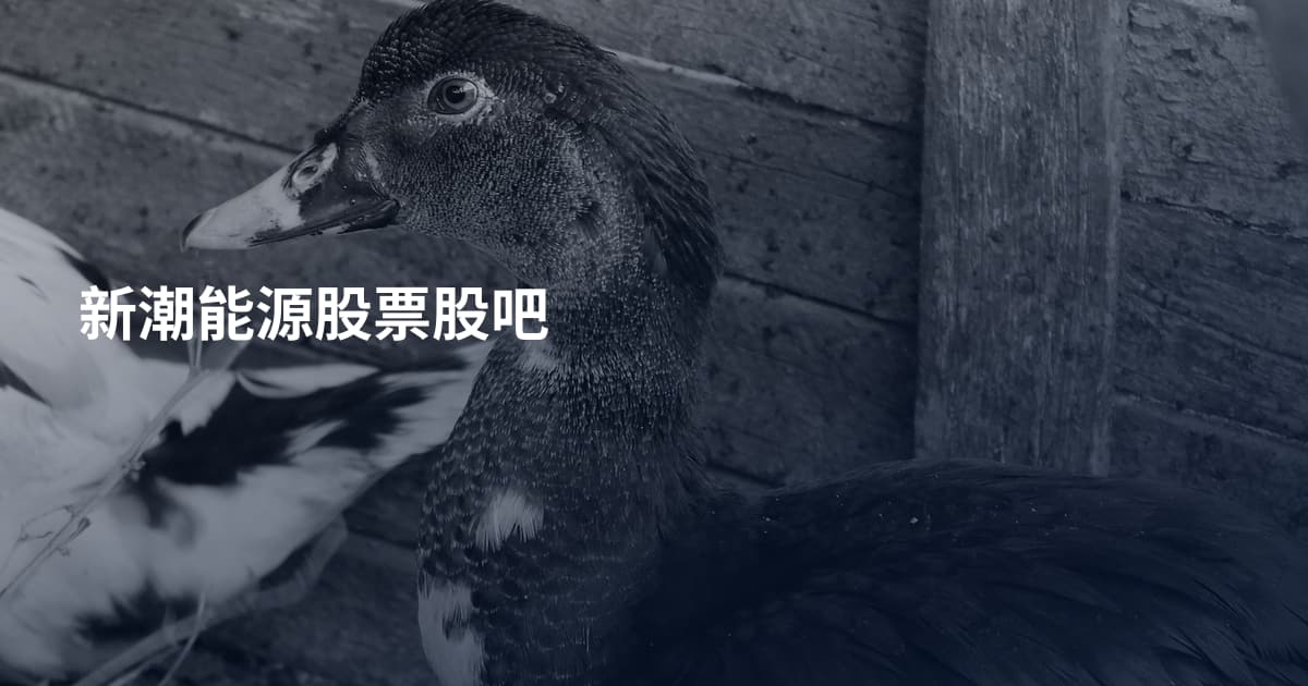 新潮能源股票股吧