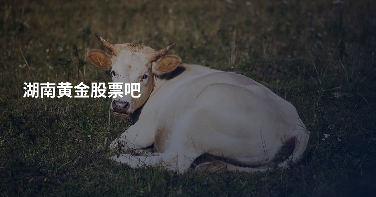 湖南黄金股票吧