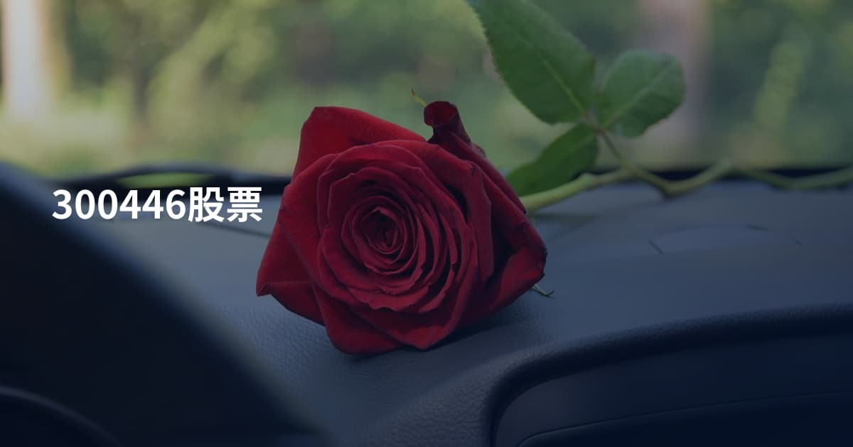 300446股票