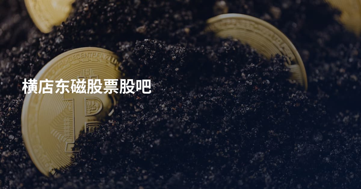 横店东磁股票股吧