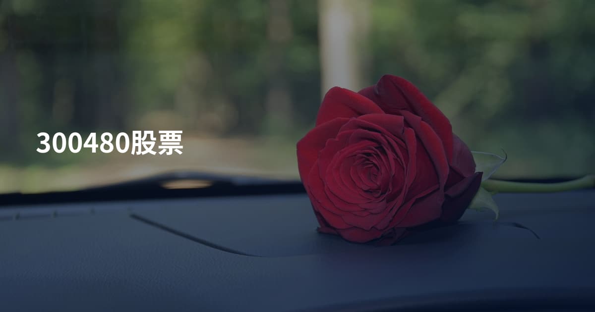300480股票