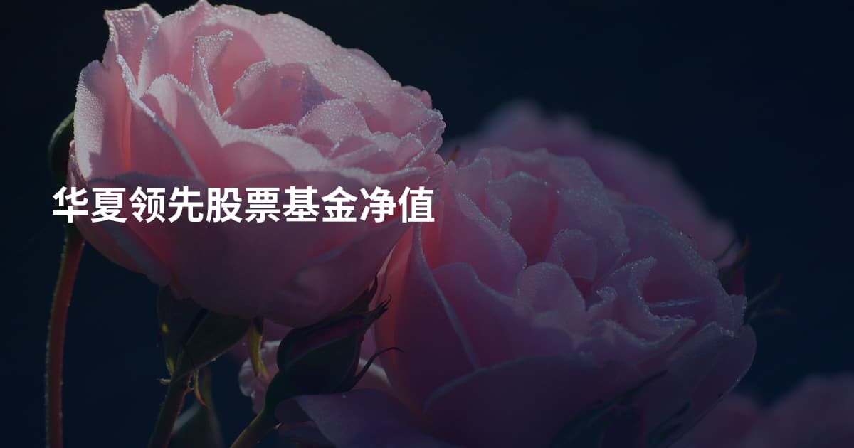 华夏领先股票基金净值