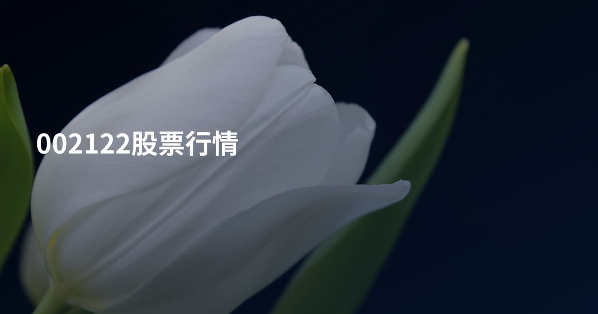 002122股票行情