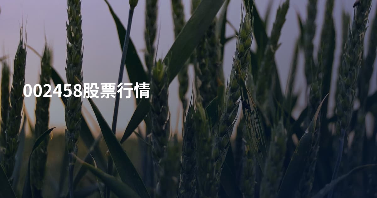 002458股票行情