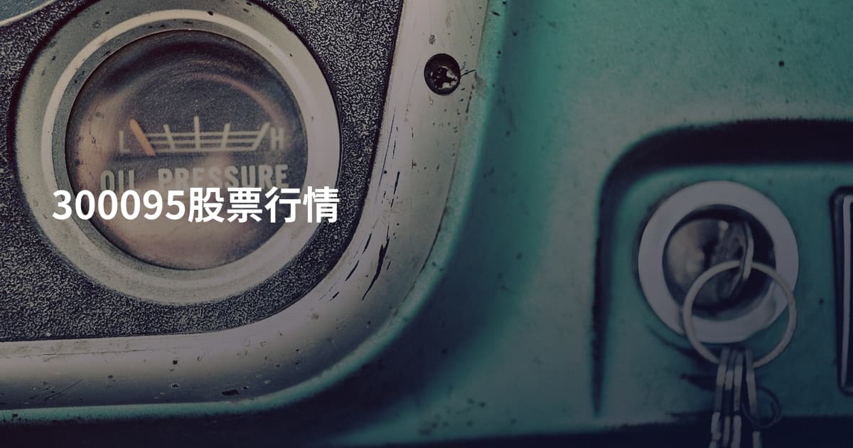 300095股票行情