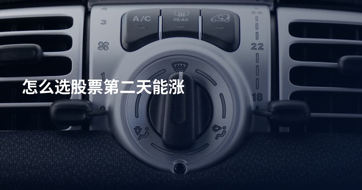 怎么选股票第二天能涨