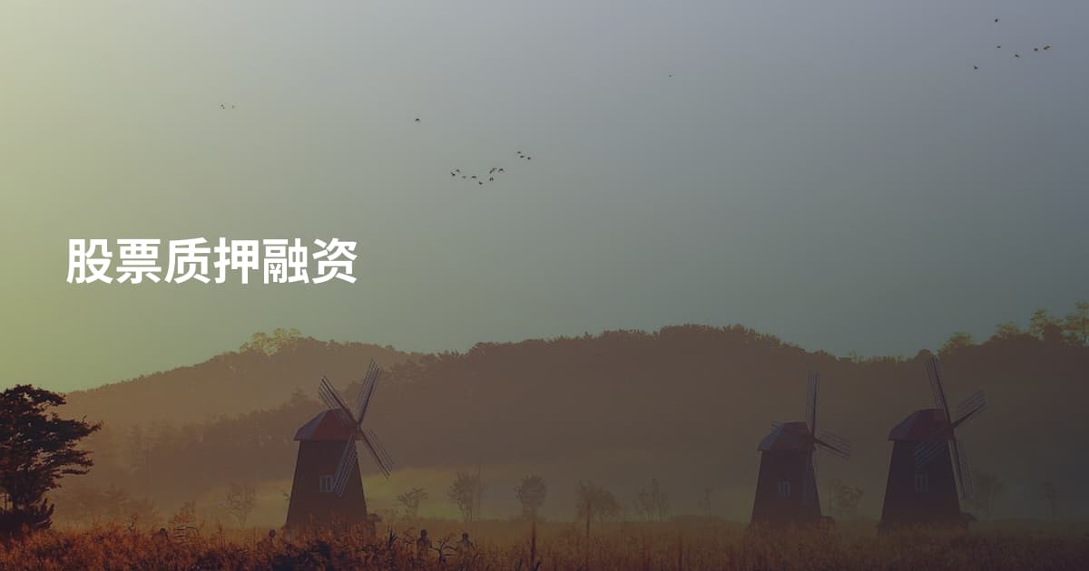 股票质押融资