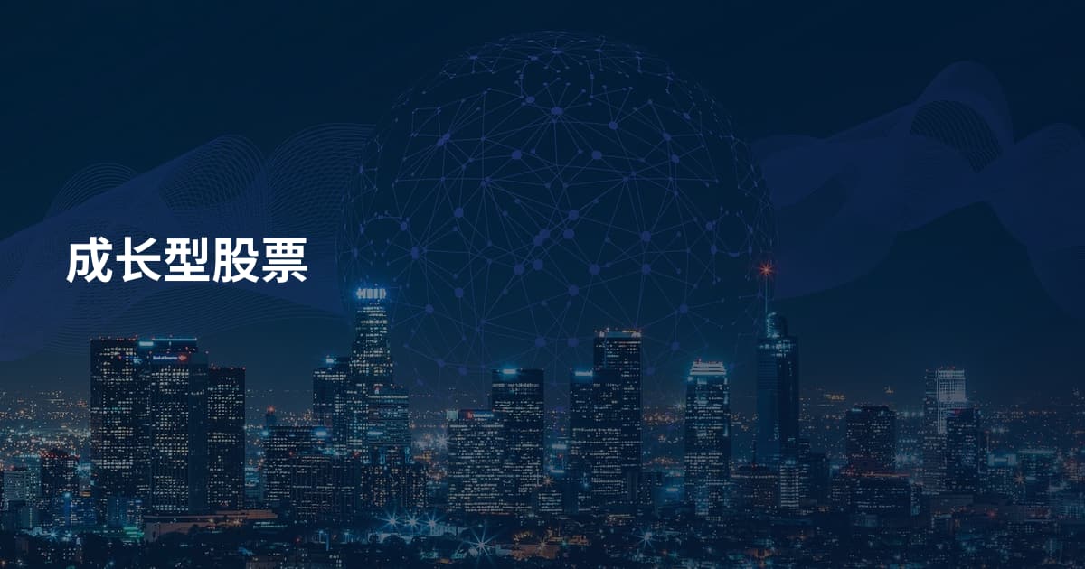 成长型股票