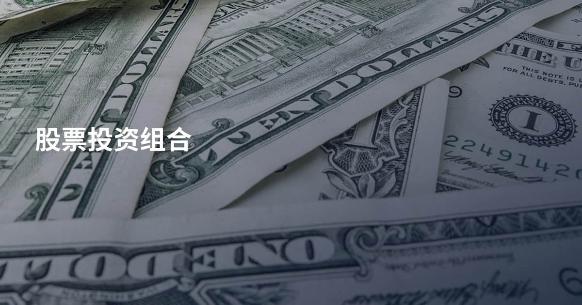 股票投资组合