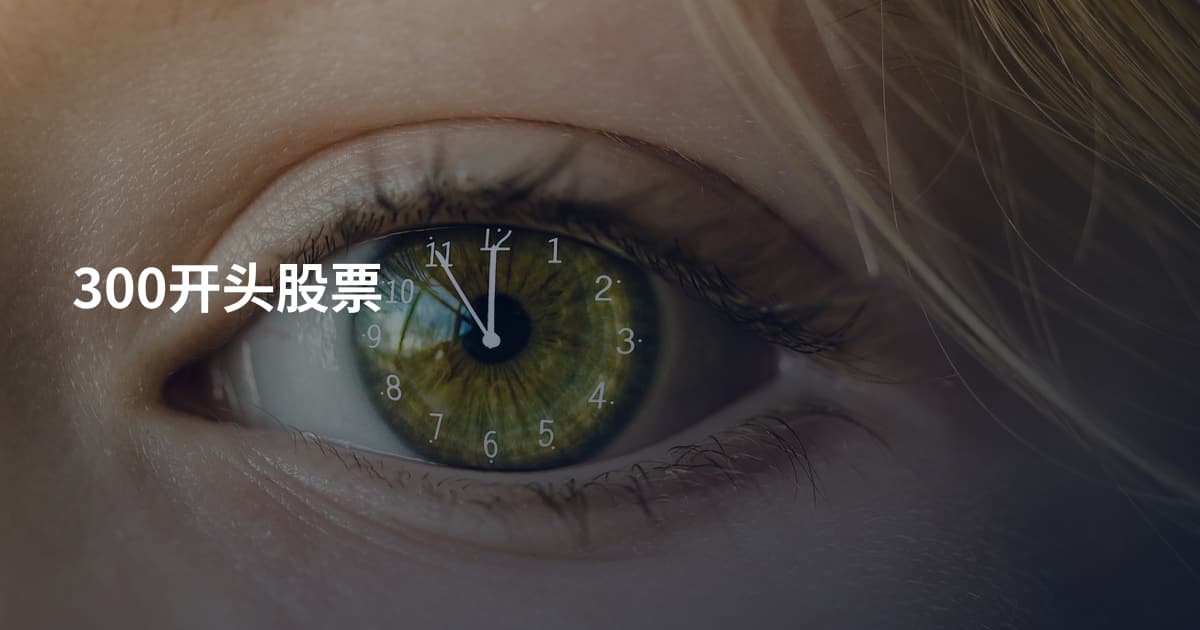300开头股票
