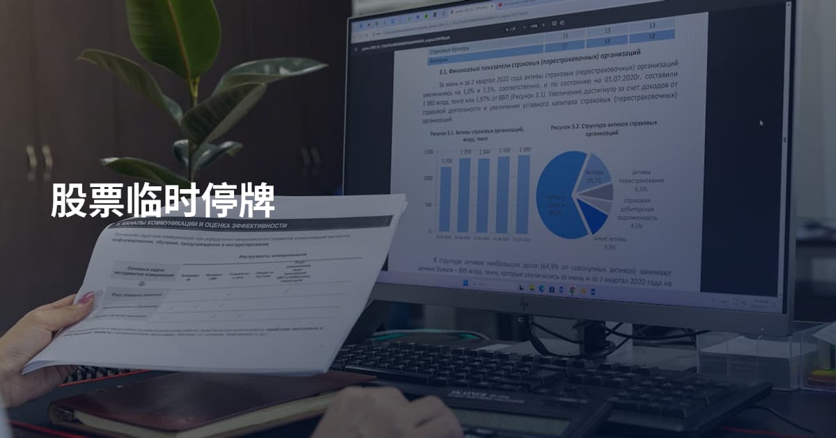 股票临时停牌
