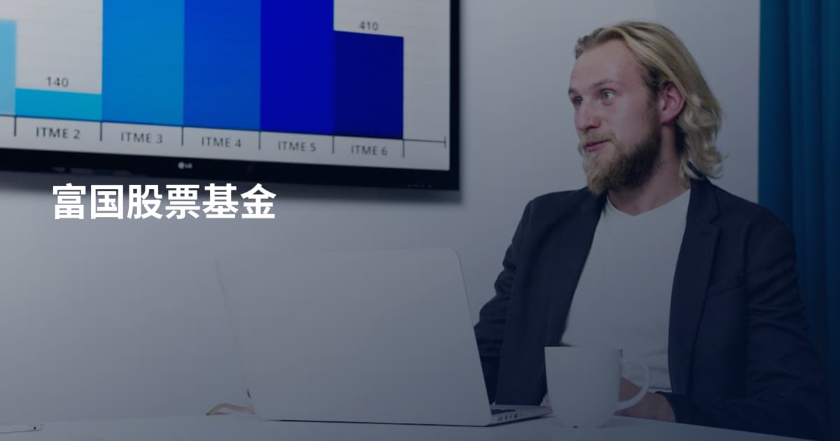 富国股票基金