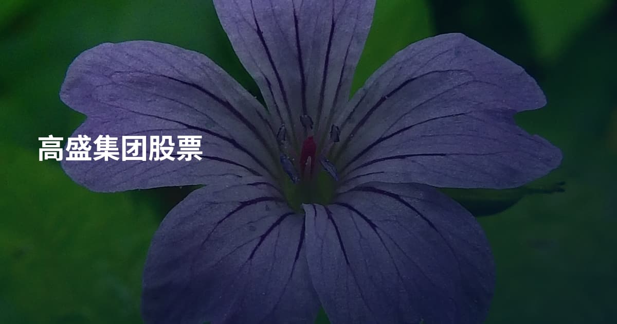 高盛集团股票