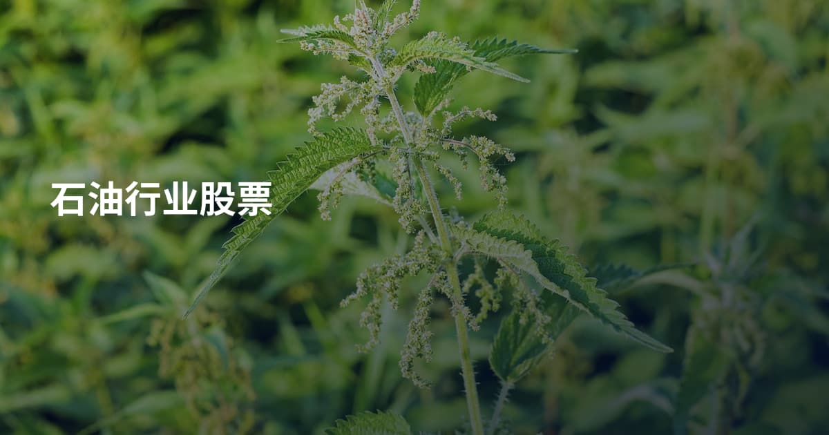 石油行业股票