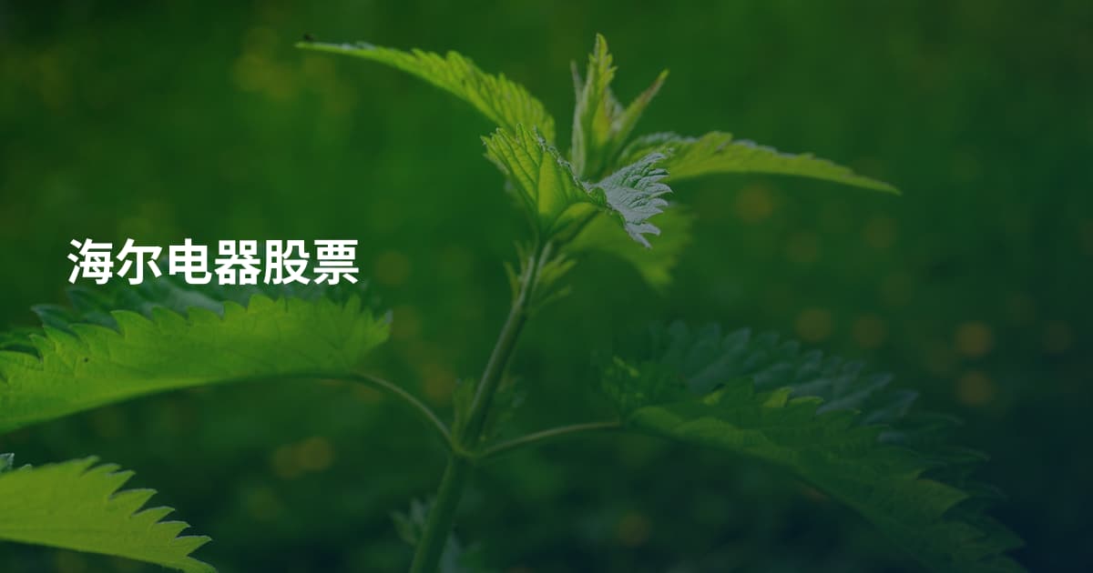 海尔电器股票